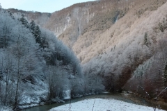 Winter im Buchenwald, Nationalpark Kalkalpen