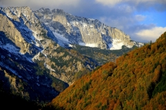 Herbstlich gefärbter Buchenwald im Nationalpark Kalkalpen. In Hintergrund Sengsengebirge mit steilen Nordabstürzen